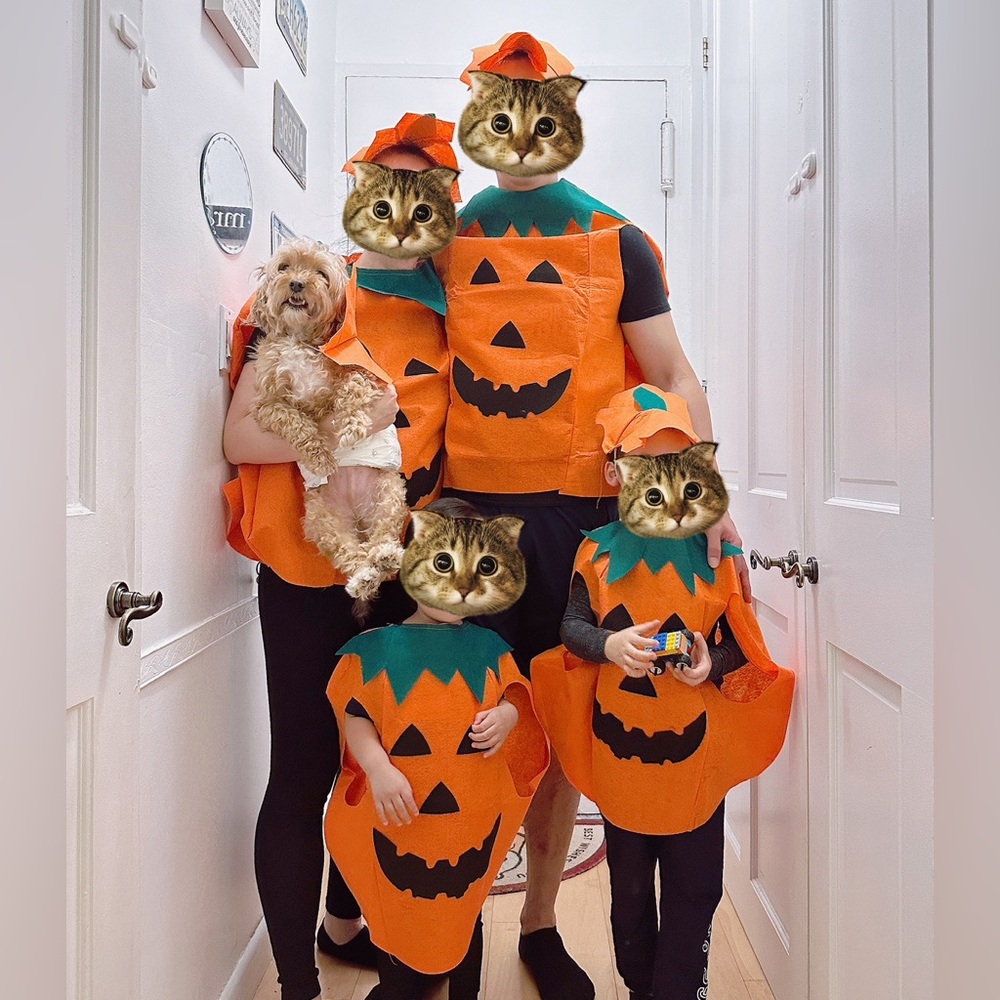 Halloween pumpkin costume for family of four